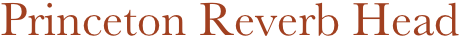 Princeton Reverb Head 